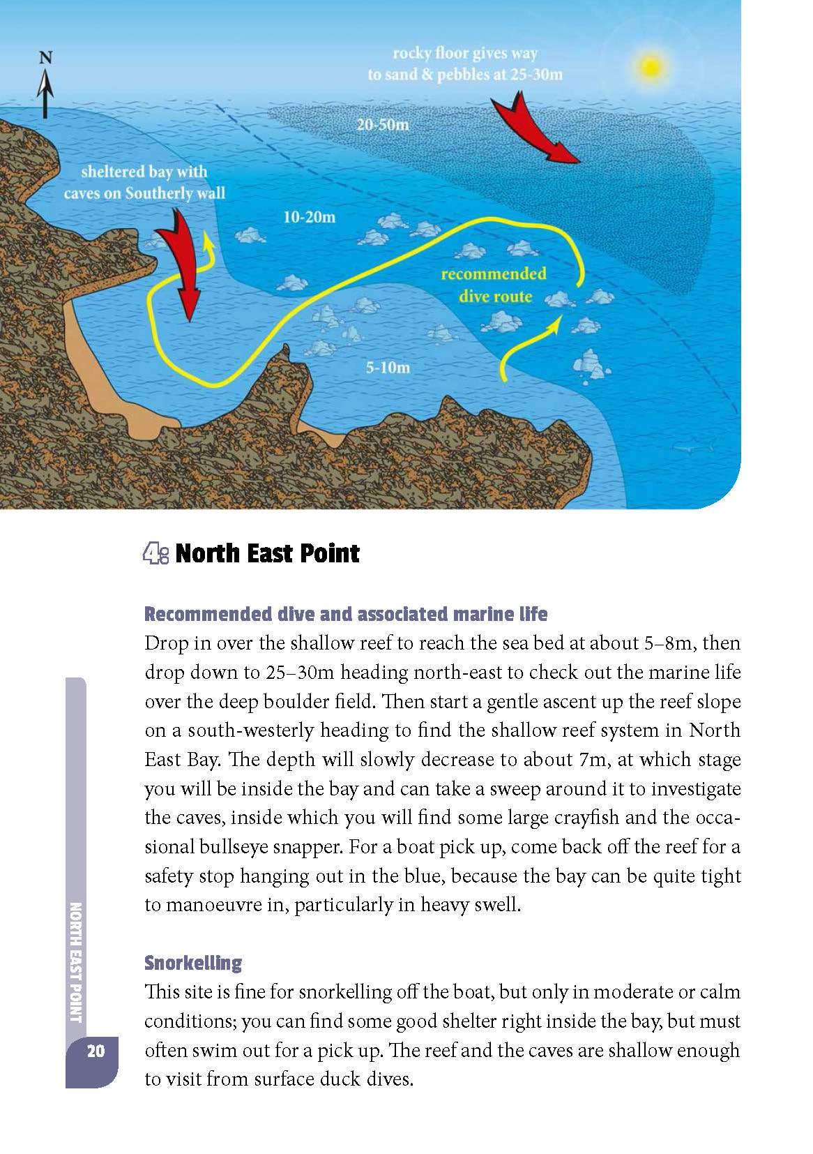 Sample page from Diving and Snorkelling Ascension Island