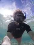 Friendly fish - Cayo Coco, Bay of Pigs