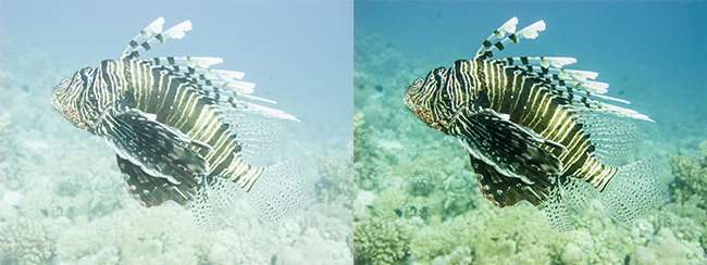 RAW images: original and processed