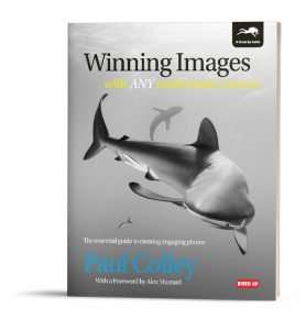 Winning Images with Any Underwater Camera