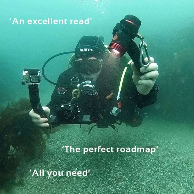 Review quotes