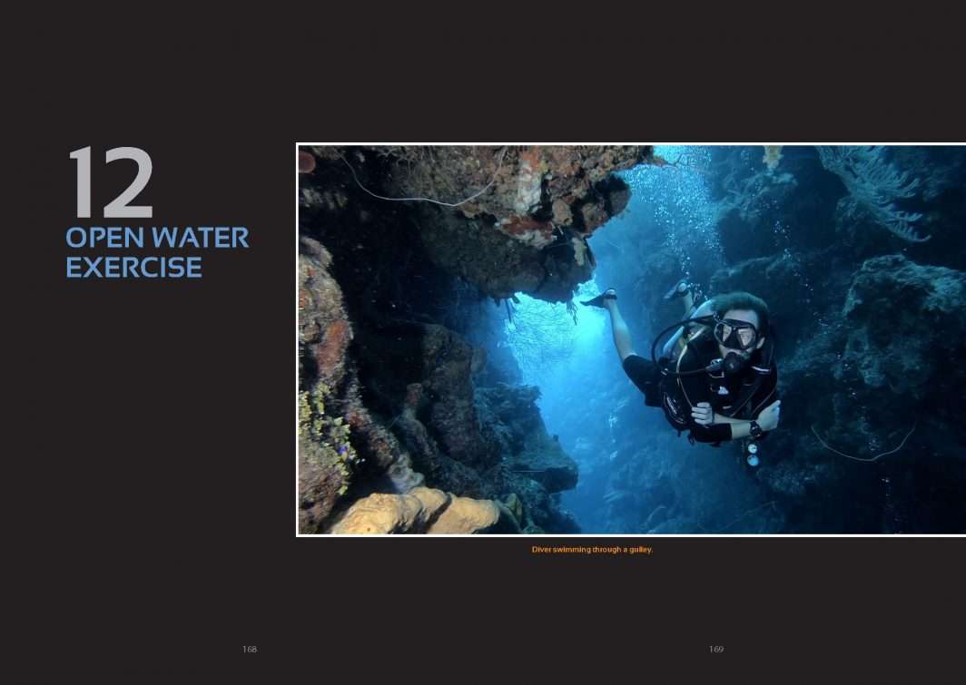 underwater videography tips & tricks – underwater... Action Camera Underwater Video Basics - Dived Up Publications