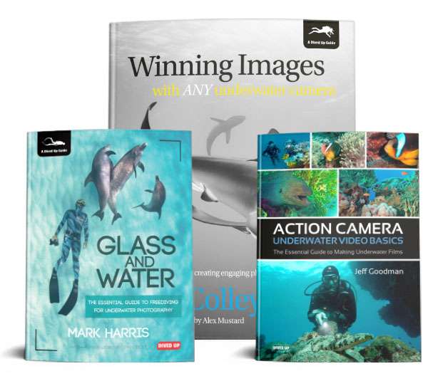 Underwater photography and video books