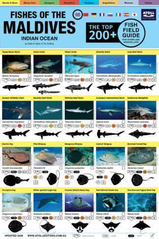 Maldives Fish Field Guide cover image