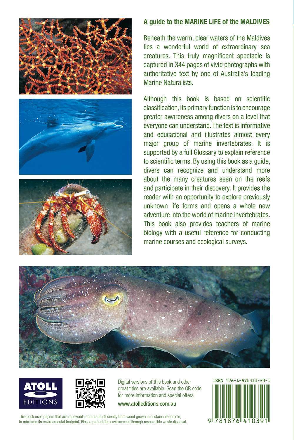 Marine Life of the Maldives - back cover image