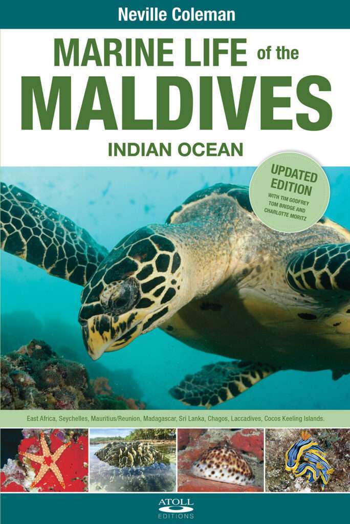 Marine Life of the Maldives (Revised 2026) by Neville Coleman