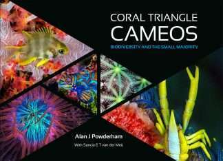 Front cover - Coral Triangle Cameos by Alan Powderham - book