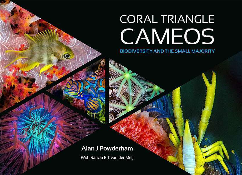 Coral Triangle Cameos - Alan Powderham and Sancia van der Meij