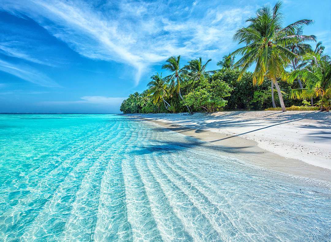 Paradise beach scene in the Maldives