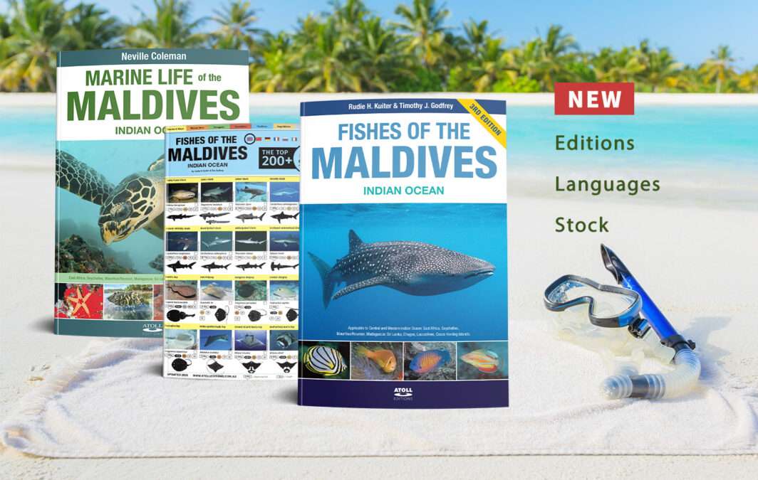 New Maldives marine life books