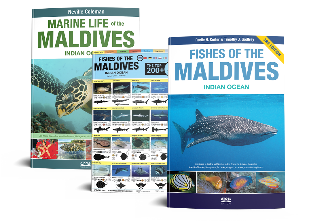 Maldives marine life books