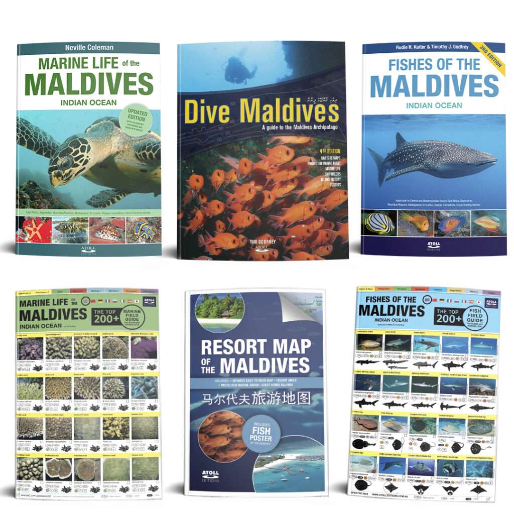 Maldives diving and marine life books
