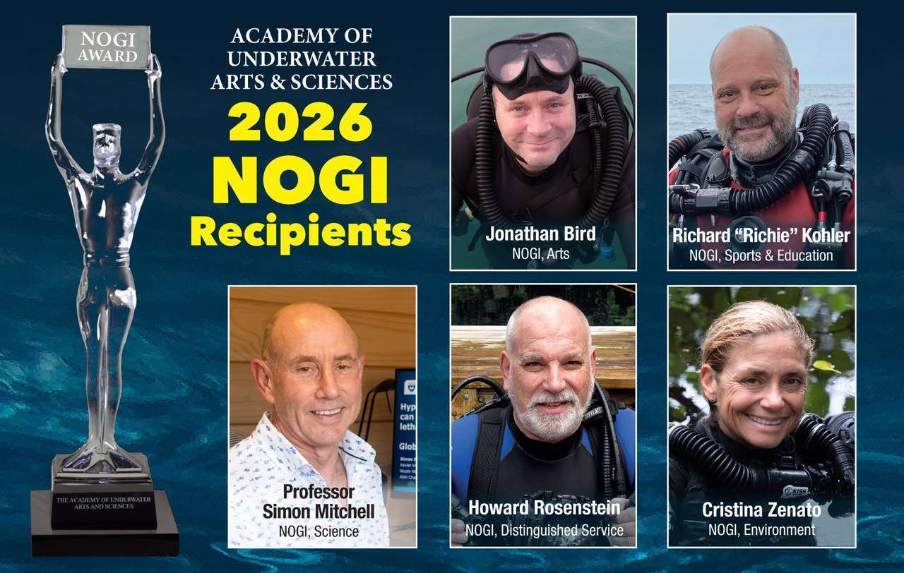 NOGI Award winners 2026