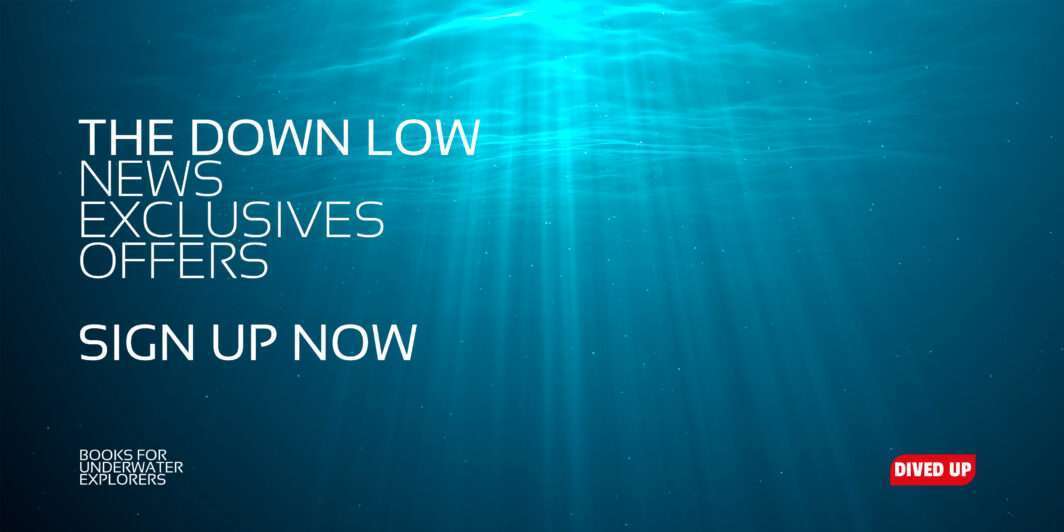 The Down Low - news, exclusives, offers - sign up now!